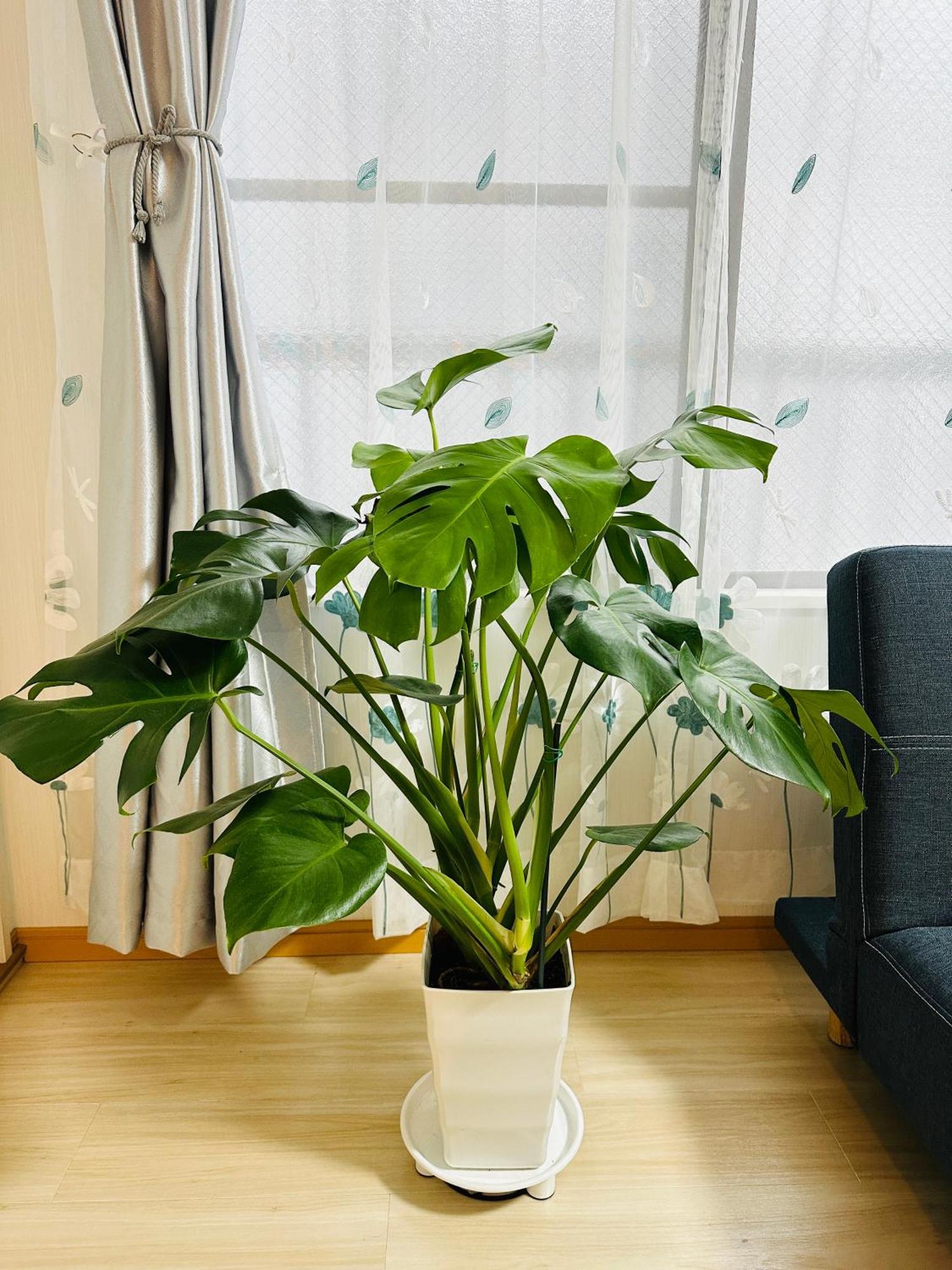 Ueno Yuyuhouse 1Ldk For Rent, Close To Senso-Ji Temple,Kaminarimon Gate,Kappabashi Dougu Street,Akihabara,Shinjuku And Disneyland 東京都 エクステリア 写真